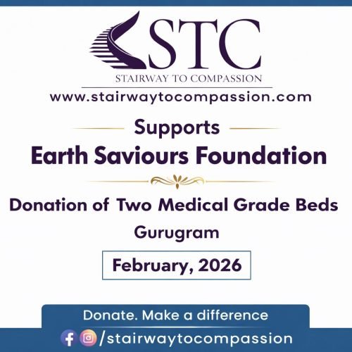 WhatsApp Image 2026-02-24 at 18.32.12